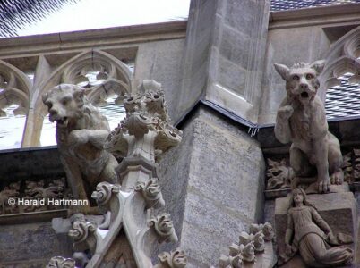 Wasserspeier auf St Stephan in Wien